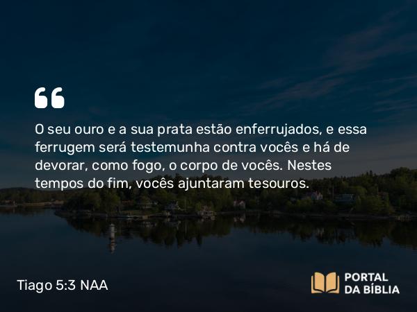 Tiago 5:3 NAA - O seu ouro e a sua prata estão enferrujados, e essa ferrugem será testemunha contra vocês e há de devorar, como fogo, o corpo de vocês. Nestes tempos do fim, vocês ajuntaram tesouros.