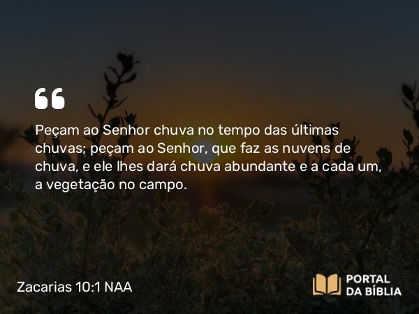 Zacarias 10:1 NAA - Peçam ao Senhor chuva no tempo das últimas chuvas; peçam ao Senhor, que faz as nuvens de chuva, e ele lhes dará chuva abundante e a cada um, a vegetação no campo.