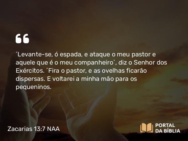 Zacarias 13:7 NAA - 