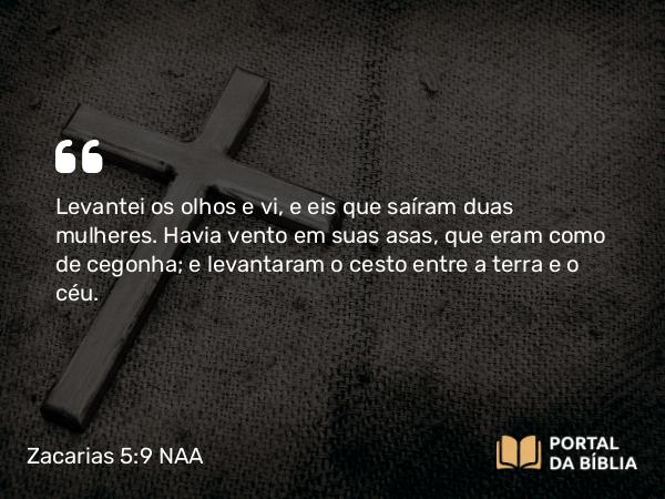 Zacarias 5:9 NAA - Levantei os olhos e vi, e eis que saíram duas mulheres. Havia vento em suas asas, que eram como de cegonha; e levantaram o cesto entre a terra e o céu.