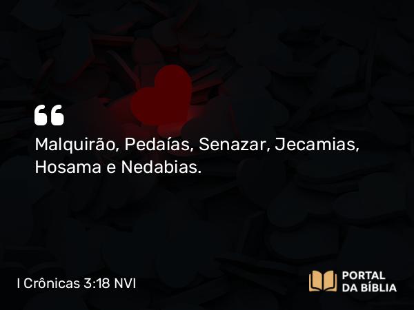 I Crônicas 3:18 NVI - Malquirão, Pedaías, Senazar, Jecamias, Hosama e Nedabias.