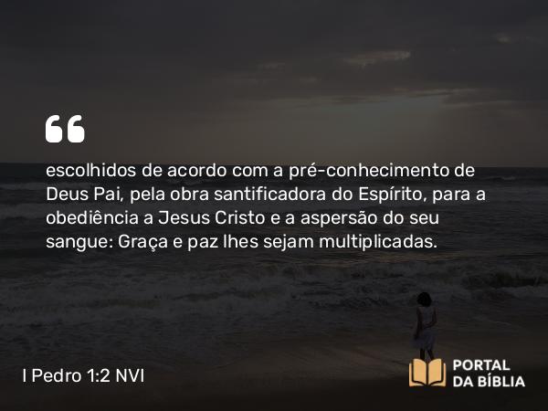 I Pedro 1:2 NVI - escolhidos de acordo com a pré-conhecimento de Deus Pai, pela obra santificadora do Espírito, para a obediência a Jesus Cristo e a aspersão do seu sangue: Graça e paz lhes sejam multiplicadas.