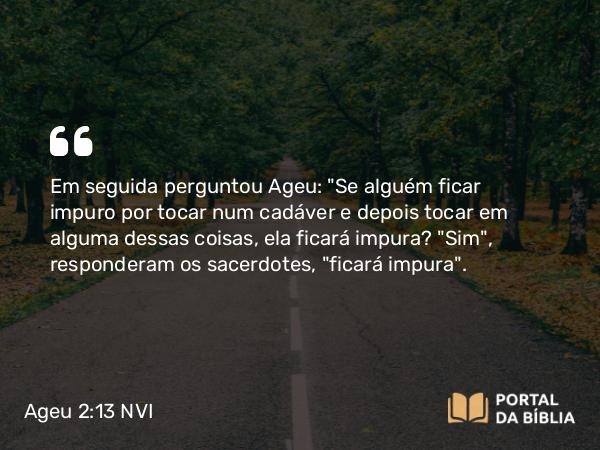 Ageu 2:13 NVI - Em seguida perguntou Ageu: 