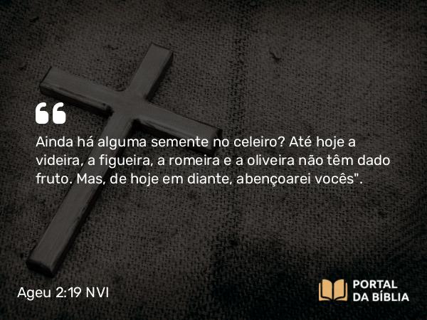 Ageu 2:19 NVI - Ainda há alguma semente no celeiro? Até hoje a videira, a figueira, a romeira e a oliveira não têm dado fruto. Mas, de hoje em diante, abençoarei vocês