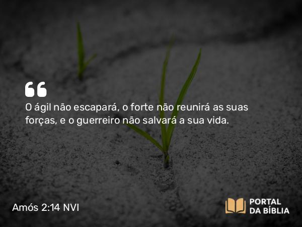 Amós 2:14-15 NVI - O ágil não escapará, o forte não reunirá as suas forças, e o guerreiro não salvará a sua vida.