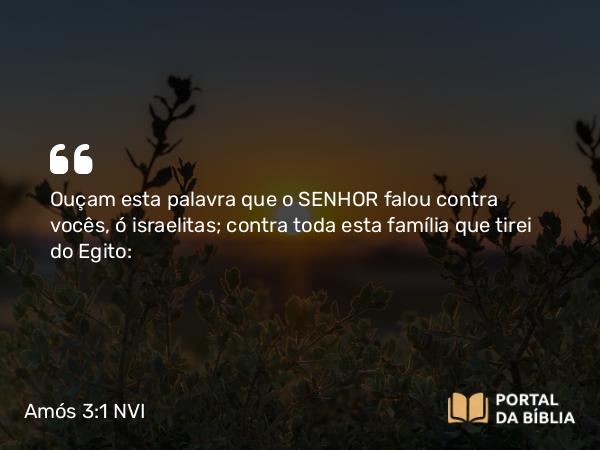 Amós 3:1 NVI - Ouçam esta palavra que o SENHOR falou contra vocês, ó israelitas; contra toda esta família que tirei do Egito: