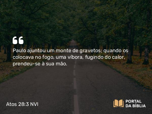 Atos 28:3 NVI - Paulo ajuntou um monte de gravetos; quando os colocava no fogo, uma víbora, fugindo do calor, prendeu-se à sua mão.