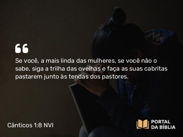 Cânticos 1:8 NVI - Se você, a mais linda das mulheres, se você não o sabe, siga a trilha das ovelhas e faça as suas cabritas pastarem junto às tendas dos pastores.