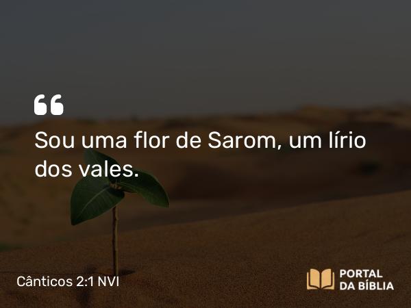 Cânticos 2:1 NVI - Sou uma flor de Sarom, um lírio dos vales.