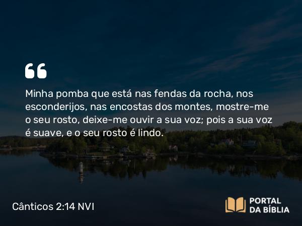 Cânticos 2:14 NVI - Minha pomba que está nas fendas da rocha, nos esconderijos, nas encostas dos montes, mostre-me o seu rosto, deixe-me ouvir a sua voz; pois a sua voz é suave, e o seu rosto é lindo.