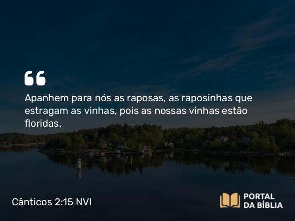 Cânticos 2:15 NVI - Apanhem para nós as raposas, as raposinhas que estragam as vinhas, pois as nossas vinhas estão floridas.