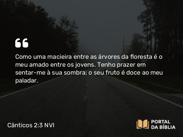 Cânticos 2:3 NVI - Como uma macieira entre as árvores da floresta é o meu amado entre os jovens. Tenho prazer em sentar-me à sua sombra; o seu fruto é doce ao meu paladar.