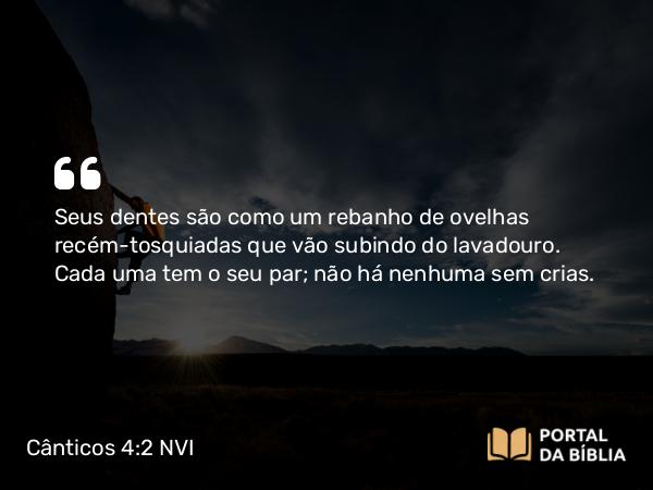 Cânticos 4:2 NVI - Seus dentes são como um rebanho de ovelhas recém-tosquiadas que vão subindo do lavadouro. Cada uma tem o seu par; não há nenhuma sem crias.