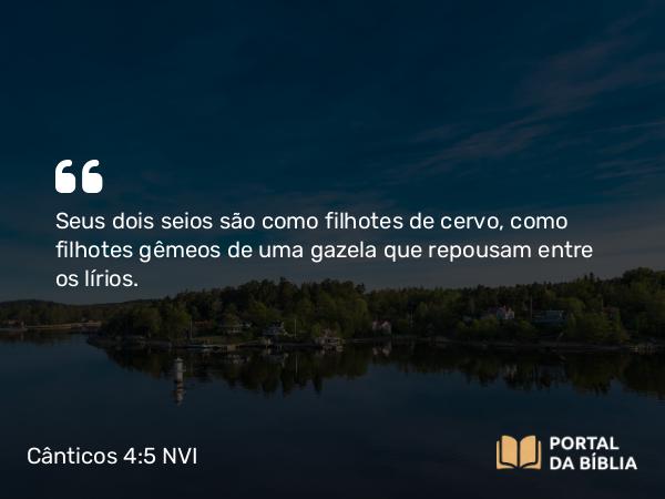 Cânticos 4:5 NVI - Seus dois seios são como filhotes de cervo, como filhotes gêmeos de uma gazela que repousam entre os lírios.