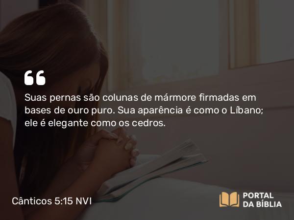 Cânticos 5:15 NVI - Suas pernas são colunas de mármore firmadas em bases de ouro puro. Sua aparência é como o Líbano; ele é elegante como os cedros.