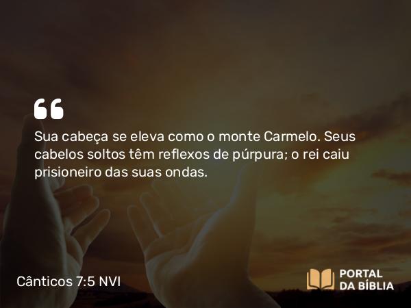 Cânticos 7:5 NVI - Sua cabeça se eleva como o monte Carmelo. Seus cabelos soltos têm reflexos de púrpura; o rei caiu prisioneiro das suas ondas.