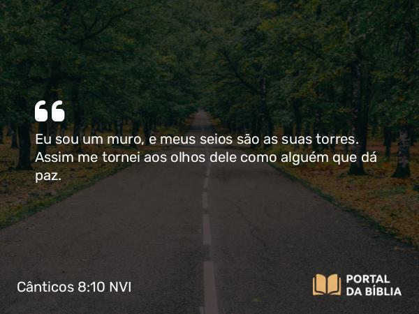 Cânticos 8:10 NVI - Eu sou um muro, e meus seios são as suas torres. Assim me tornei aos olhos dele como alguém que dá paz.