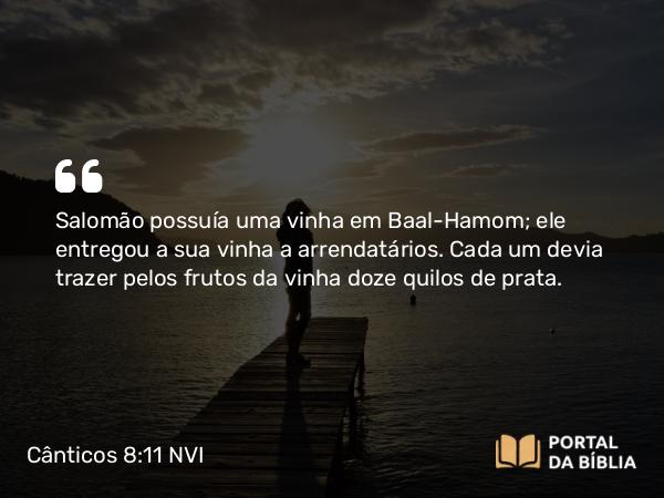 Cânticos 8:11 NVI - Salomão possuía uma vinha em Baal-Hamom; ele entregou a sua vinha a arrendatários. Cada um devia trazer pelos frutos da vinha doze quilos de prata.