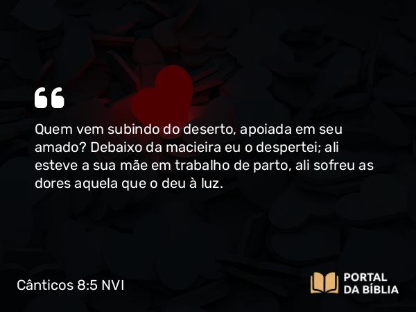 Cânticos 8:5 NVI - Quem vem subindo do deserto, apoiada em seu amado? Debaixo da macieira eu o despertei; ali esteve a sua mãe em trabalho de parto, ali sofreu as dores aquela que o deu à luz.