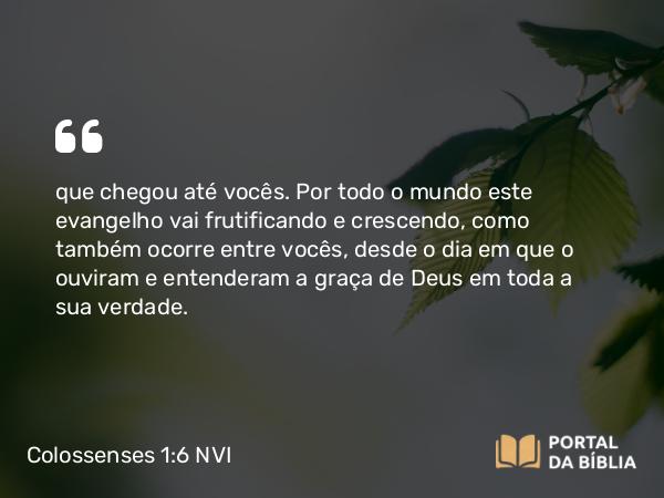 Colossenses 1:6 NVI - que chegou até vocês. Por todo o mundo este evangelho vai frutificando e crescendo, como também ocorre entre vocês, desde o dia em que o ouviram e entenderam a graça de Deus em toda a sua verdade.