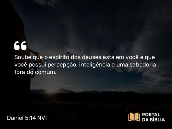 Daniel 5:14 NVI - Soube que o espírito dos deuses está em você e que você possui percepção, inteligência e uma sabedoria fora do comum.