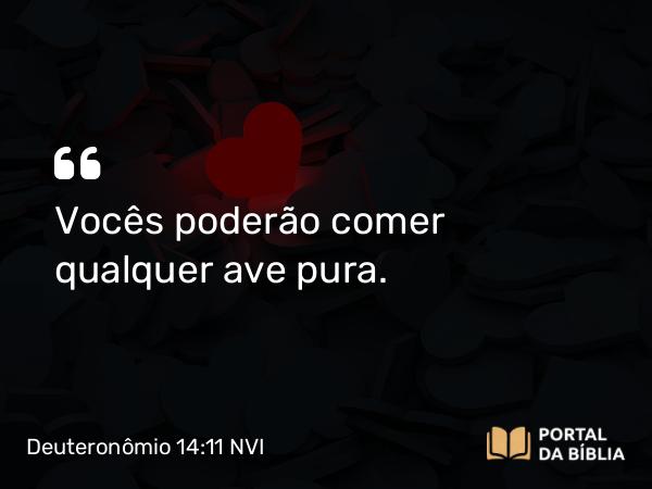 Deuteronômio 14:11 NVI - Vocês poderão comer qualquer ave pura.