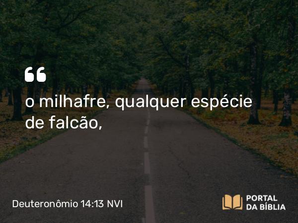 Deuteronômio 14:13 NVI - o milhafre, qualquer espécie de falcão,