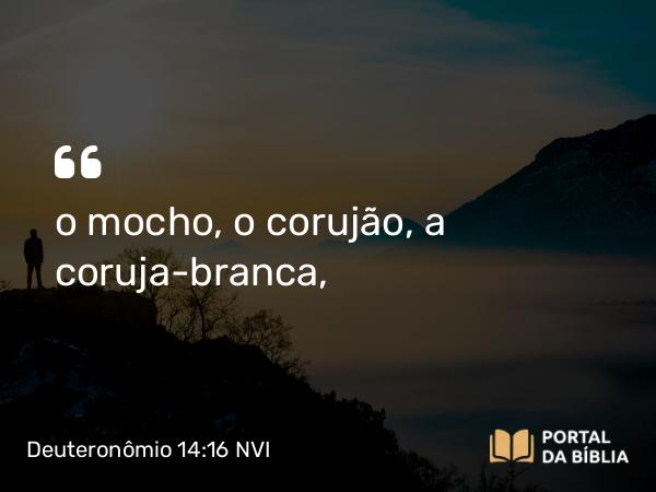 Deuteronômio 14:16 NVI - o mocho, o corujão, a coruja-branca,