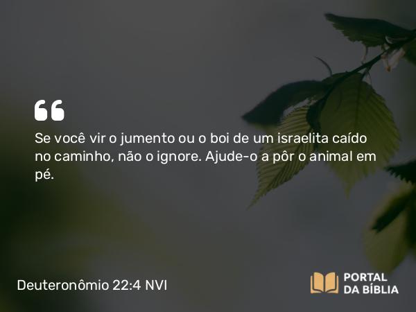 Deuteronômio 22:4 NVI - Se você vir o jumento ou o boi de um israelita caído no caminho, não o ignore. Ajude-o a pôr o animal em pé.