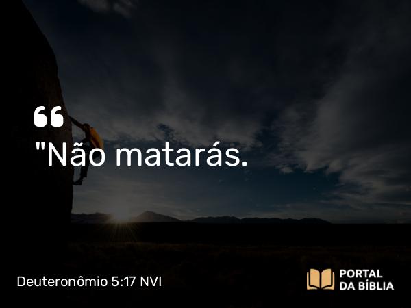 Deuteronômio 5:17-19 NVI - 