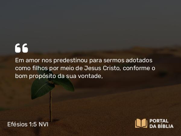 Efésios 1:5 NVI - Em amor nos predestinou para sermos adotados como filhos por meio de Jesus Cristo, conforme o bom propósito da sua vontade,