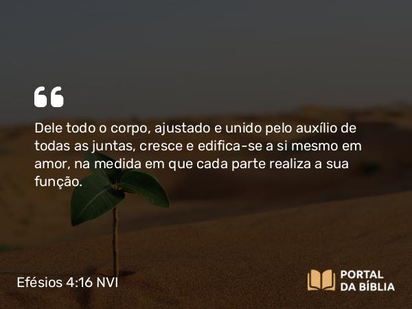 Efésios 4:16 NVI - Dele todo o corpo, ajustado e unido pelo auxílio de todas as juntas, cresce e edifica-se a si mesmo em amor, na medida em que cada parte realiza a sua função.