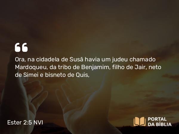 Ester 2:5 NVI - Ora, na cidadela de Susã havia um judeu chamado Mardoqueu, da tribo de Benjamim, filho de Jair, neto de Simei e bisneto de Quis,