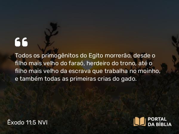 Êxodo 11:5 NVI - Todos os primogênitos do Egito morrerão, desde o filho mais velho do faraó, herdeiro do trono, até o filho mais velho da escrava que trabalha no moinho, e também todas as primeiras crias do gado.