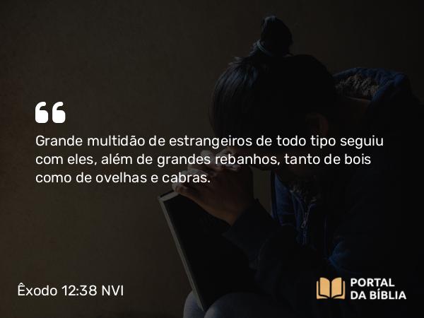 Êxodo 12:38 NVI - Grande multidão de estrangeiros de todo tipo seguiu com eles, além de grandes rebanhos, tanto de bois como de ovelhas e cabras.