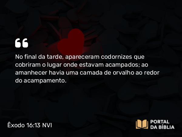 Êxodo 16:13-15 NVI - No final da tarde, apareceram codornizes que cobriram o lugar onde estavam acampados; ao amanhecer havia uma camada de orvalho ao redor do acampamento.