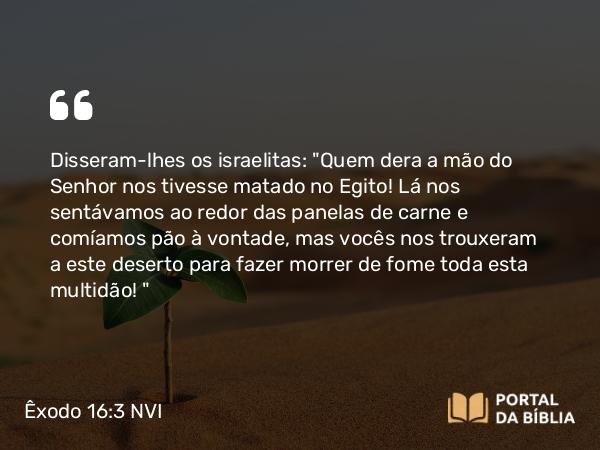 Êxodo 16:3 NVI - Disseram-lhes os israelitas: 