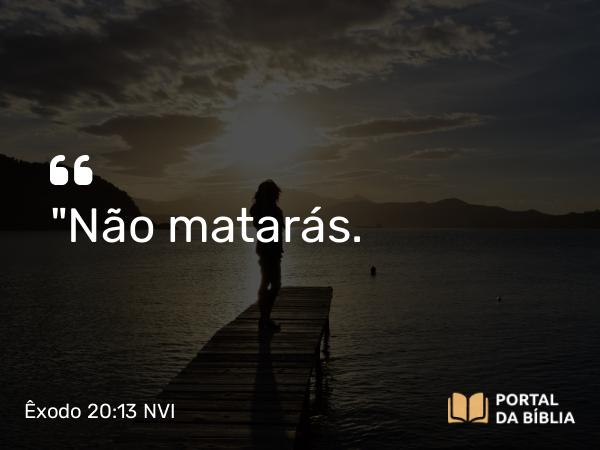 Êxodo 20:13-15 NVI - 