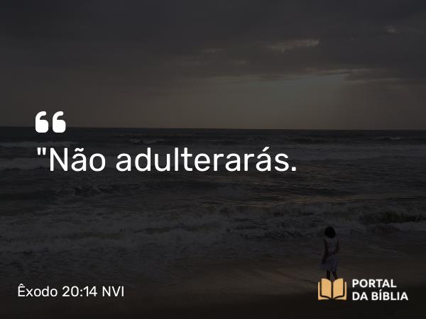 Êxodo 20:14 NVI - 