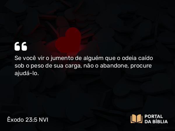 Êxodo 23:5 NVI - Se você vir o jumento de alguém que o odeia caído sob o peso de sua carga, não o abandone, procure ajudá-lo.