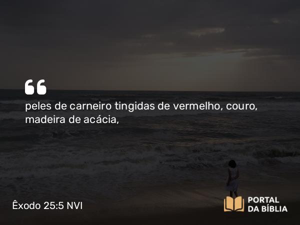 Êxodo 25:5 NVI - peles de carneiro tingidas de vermelho, couro, madeira de acácia,