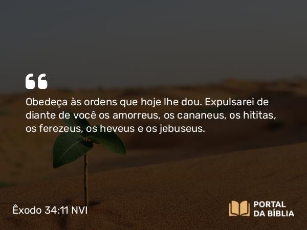 Êxodo 34:11 NVI - Obedeça às ordens que hoje lhe dou. Expulsarei de diante de você os amorreus, os cananeus, os hititas, os ferezeus, os heveus e os jebuseus.