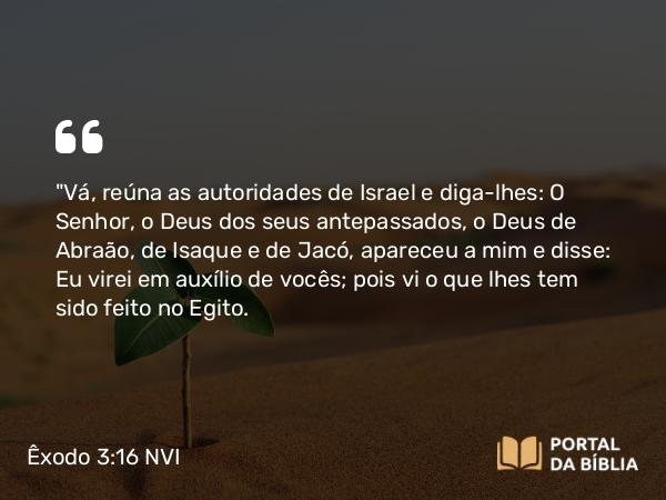 Êxodo 3:16 NVI - 