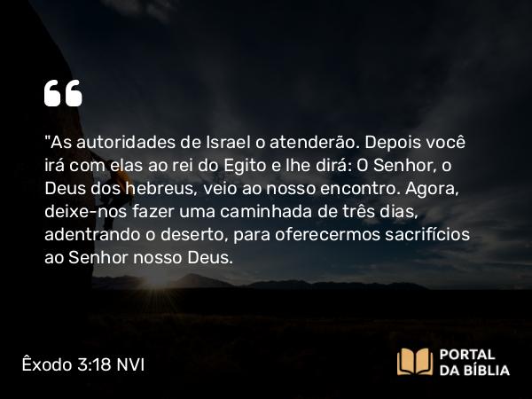 Êxodo 3:18 NVI - 