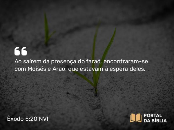 Êxodo 5:20 NVI - Ao saírem da presença do faraó, encontraram-se com Moisés e Arão, que estavam à espera deles,