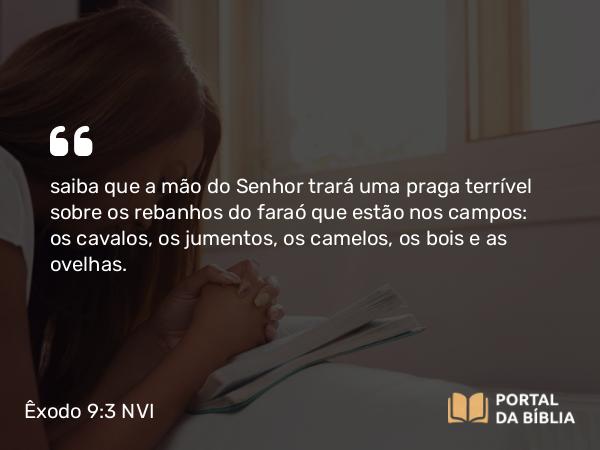 Êxodo 9:3 NVI - saiba que a mão do Senhor trará uma praga terrível sobre os rebanhos do faraó que estão nos campos: os cavalos, os jumentos, os camelos, os bois e as ovelhas.