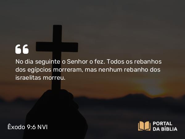 Êxodo 9:6 NVI - No dia seguinte o Senhor o fez. Todos os rebanhos dos egípcios morreram, mas nenhum rebanho dos israelitas morreu.