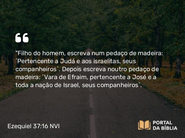 Ezequiel 37:16 NVI - 