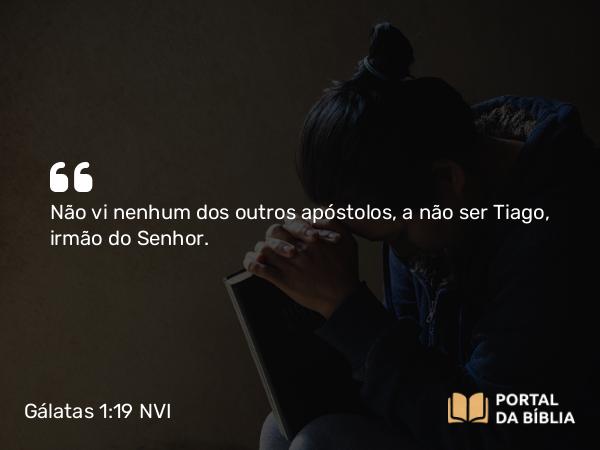 Gálatas 1:19 NVI - Não vi nenhum dos outros apóstolos, a não ser Tiago, irmão do Senhor.