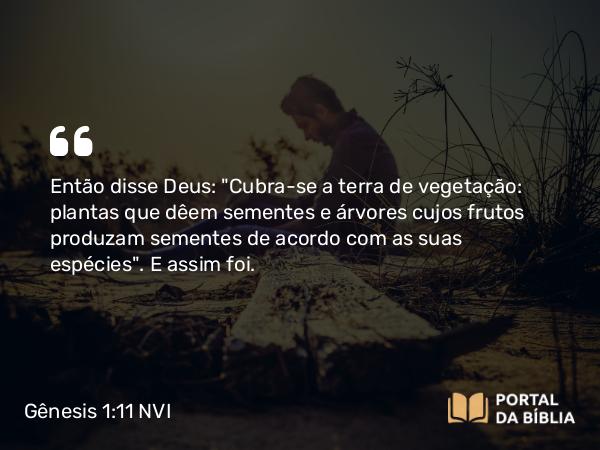 Gênesis 1:11 NVI - Então disse Deus: 